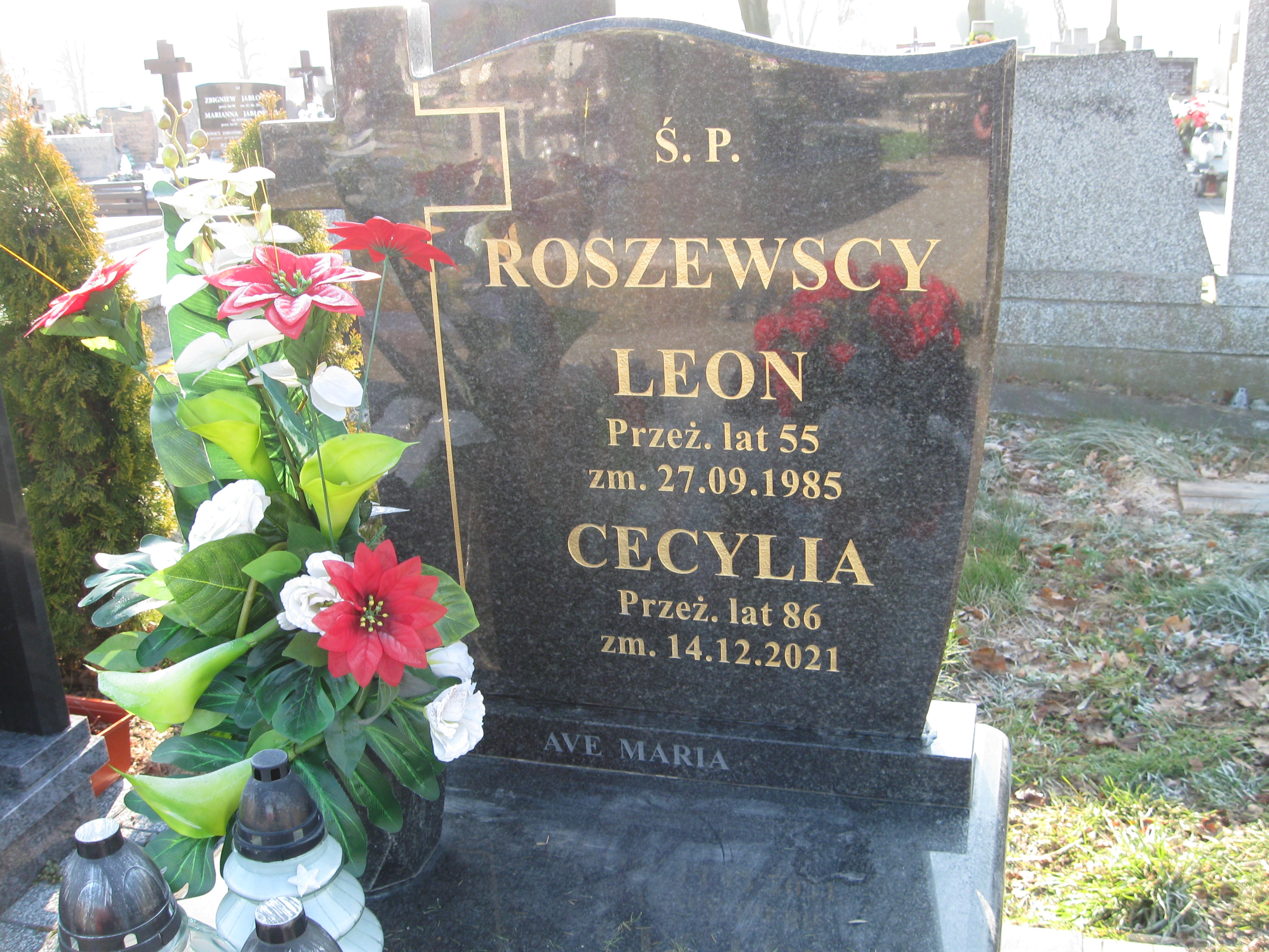 Leon Roszewski Kalisz św. Józefa Tyniecki 0302 - Grobonet - Wyszukiwarka osób pochowanych