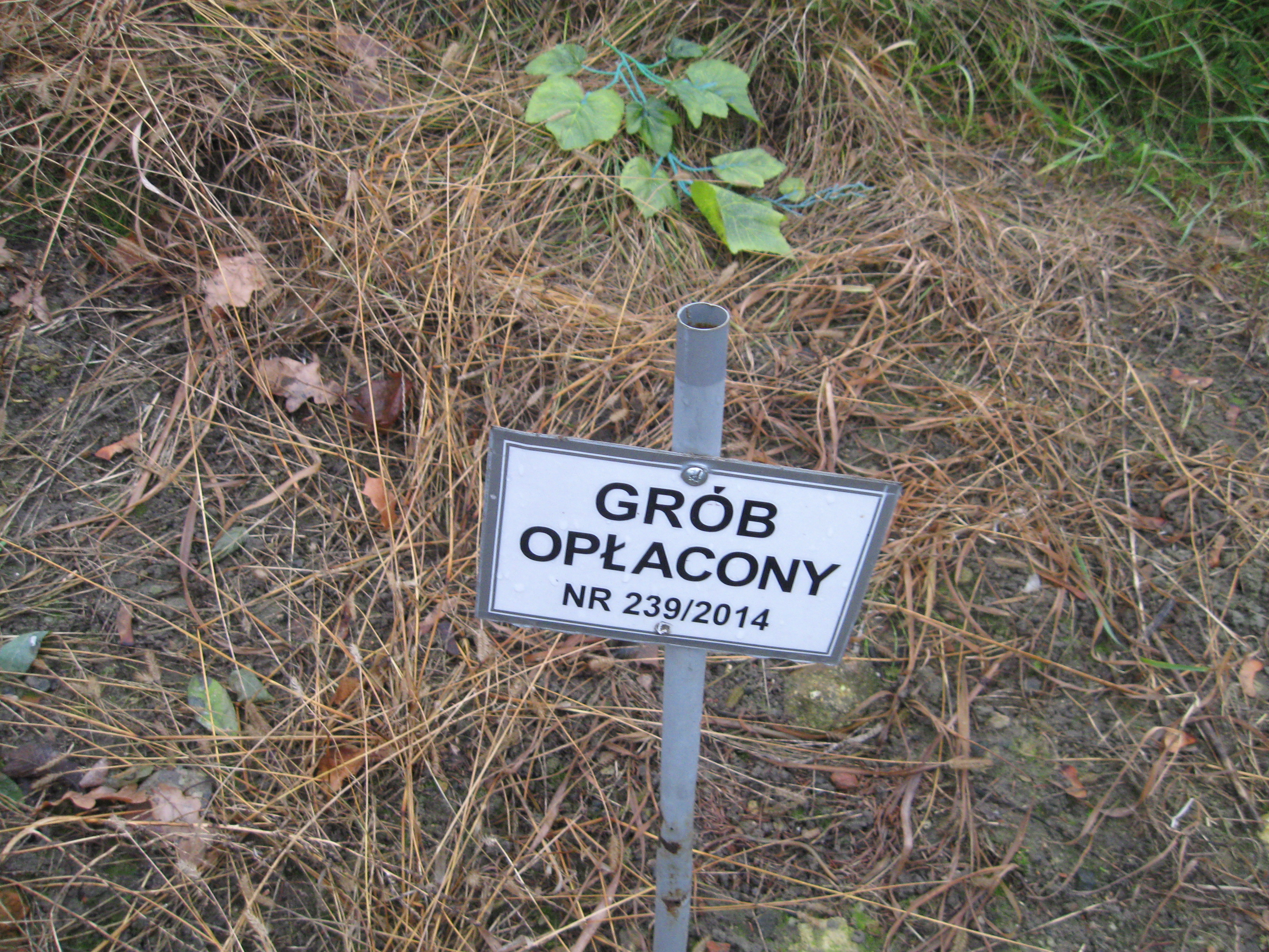 Edward Makowski 1945 Kalisz św. Józefa Tyniecki 0302 - Grobonet - Wyszukiwarka osób pochowanych